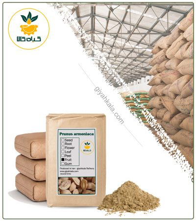 Bulk Apricot Kernel Powder