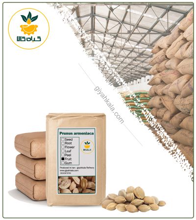 Bulk Dried Apricot Kernel