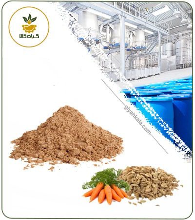 Carrot Seed Powder Extract
