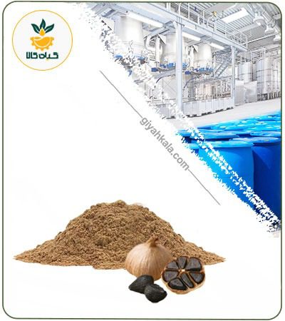 Black Garlic Powder Extract