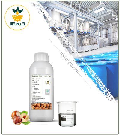 Natural Hazelnut Syrup