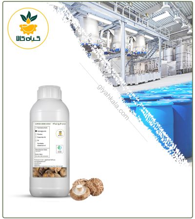 Shiitake Liquid Extact