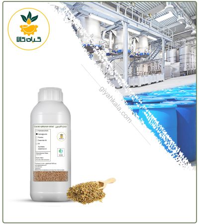 Clover Dodder (Cuscuta) Liquid Extract