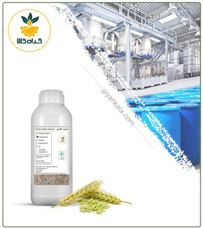 Barley Straw Liquid Extract