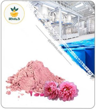 Peony (Paeonia lactiflora) Powder Extract