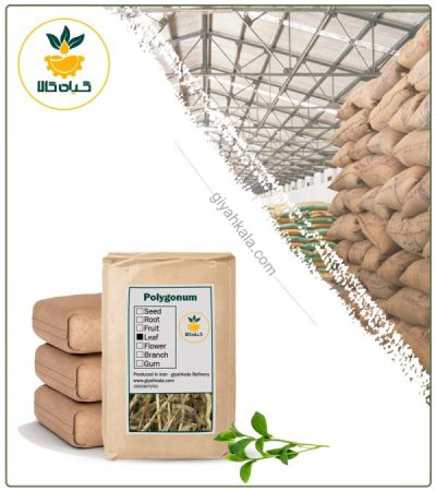 Bulk Dried Knotweed (Polygonum)