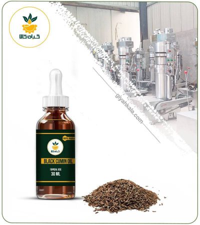 Black Cumin (Caraway) Topical Oil