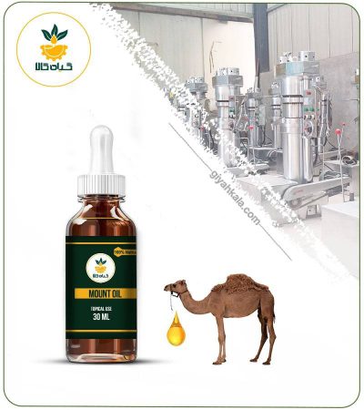 Camel Hump Topical Oil