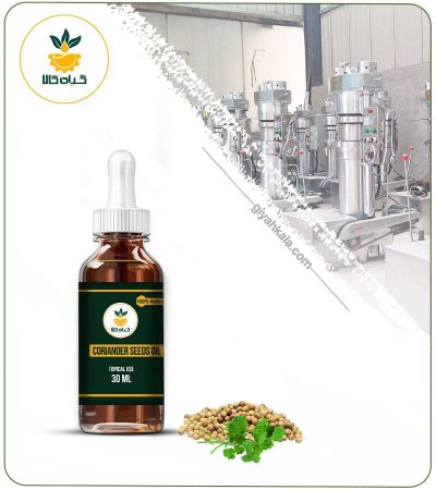 Coriander Topical Oil