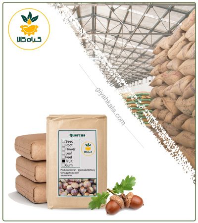 Bulk Dried Oak Fruit (Acorn)