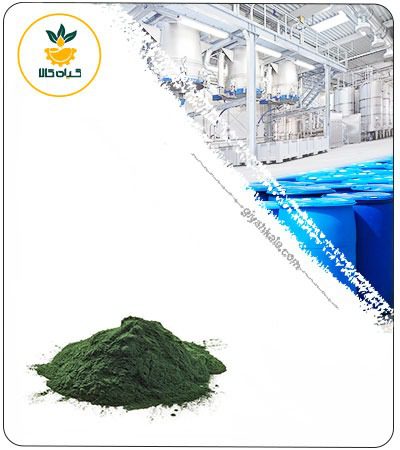 Spirulina Powder Extract