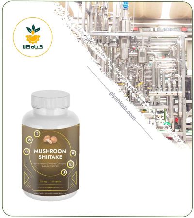 Shiitake Mushroom Capsule (AHCC) (Suran Daru)