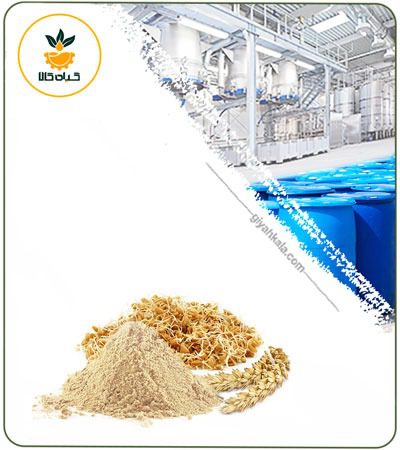 Wheat Germ Powder Extract