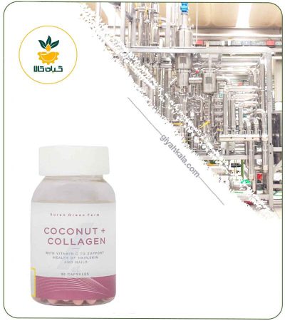 Coconut Collagen Capsule (Suran Daru)