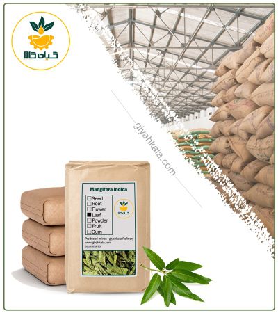 Bulk Dried Mango Leaf