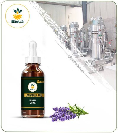 Lavender Topical Oil