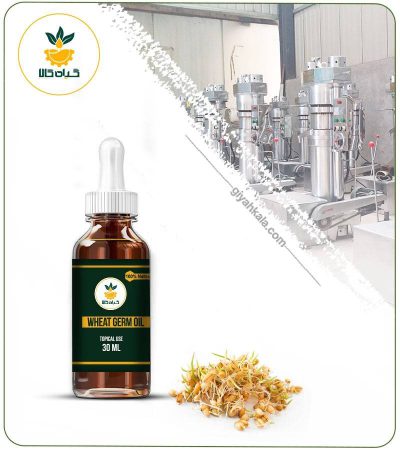 Wheat Germ Topical Oil