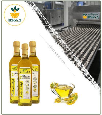 Organic Extra Virgin Rapeseed Oil
