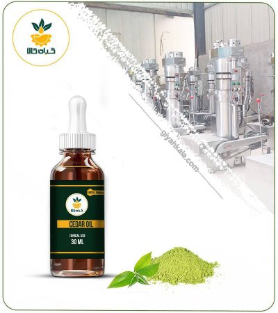 Sidr Topical Oil