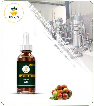 Jujube Topical Oil