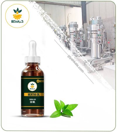 Mint Topical Oil