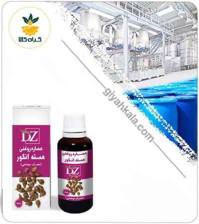 Grape Seed Oil Extract