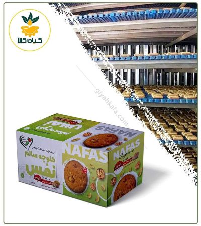 Organic Walnut Cookies