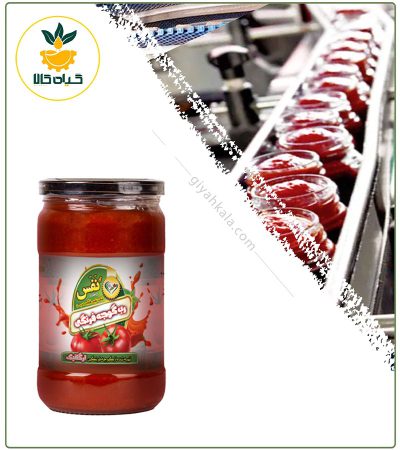 Organic Tomato Paste