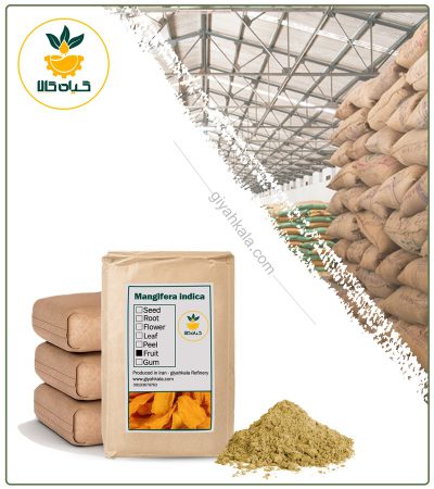 Bulk Mango Spice Powder