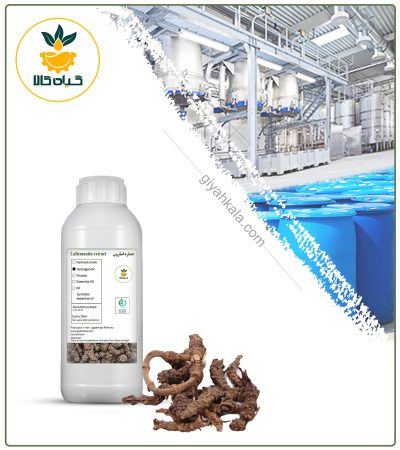 Asarum Europaeum Liquid Extract