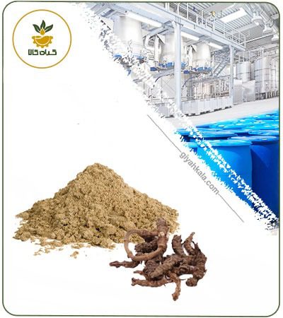 Asarum Europaeum Powder Extract