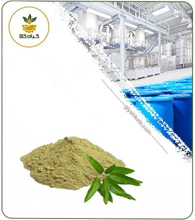 Mango Leaf Powder Extract