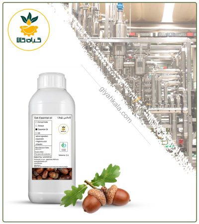 Natural Oak Essential Oil