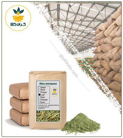 Bulk Olive Leaf Powder