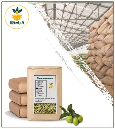 Bulk Dried Olive Leaf