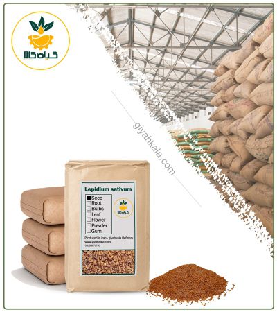 Bulk Dried Garden Cress Seed (Lepidium Sativum)