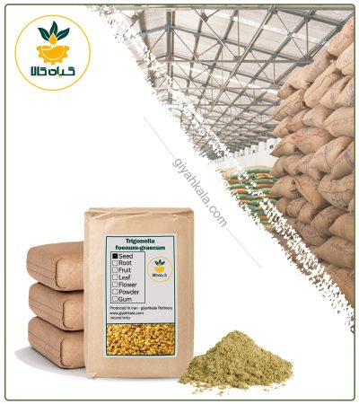 Bulk Fenugreek Seed Powder