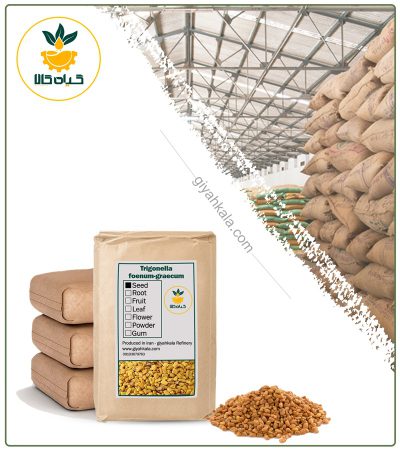 Bulk Dried Fenugreek Seed