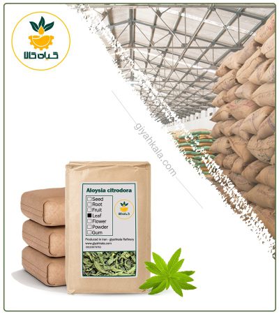 Bulk Dried Lemon Beebrush