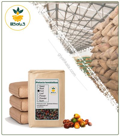 Bulk Dried Wild Pistachio