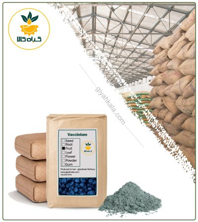 Bulk Blueberry Powder