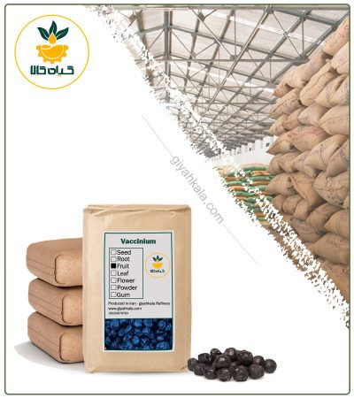 Bulk Dried Blueberry