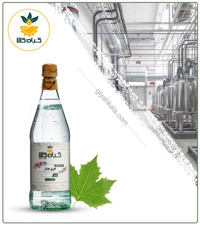 Pure Plantain Leaf Distillate
