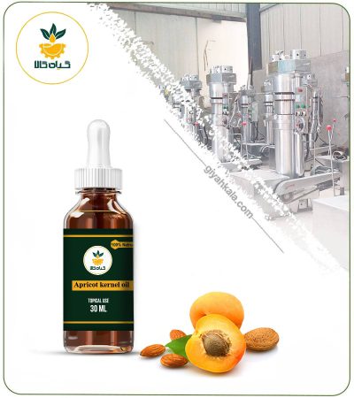 Apricot Kernel Topical Oil