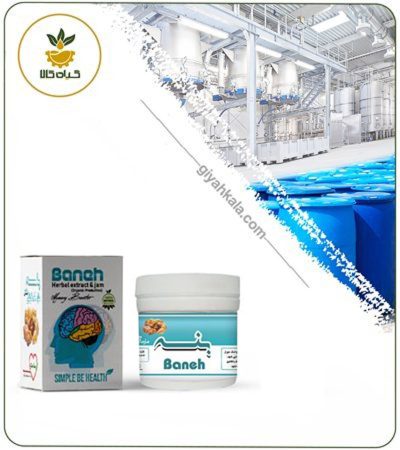 Edible Memory Enhancement Potion (Boneh)