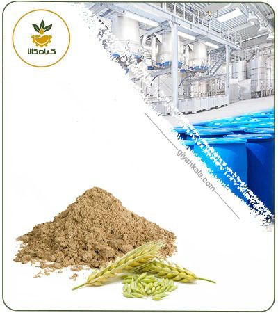 Barley Straw Powder Extract