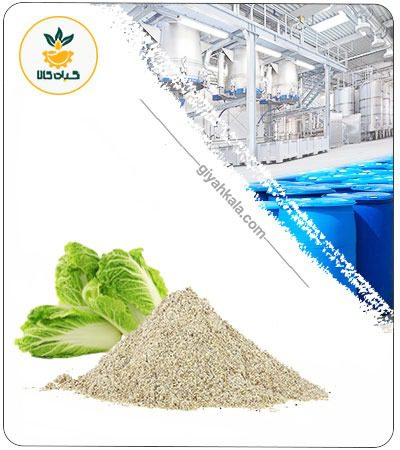 Lettuce Leaf Powder Extract