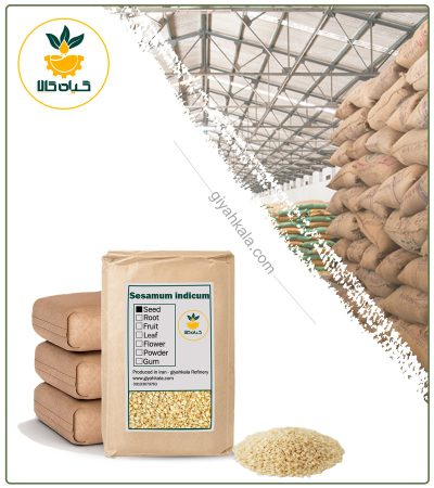 Bulk Dried Unhulled White Sesame Seed