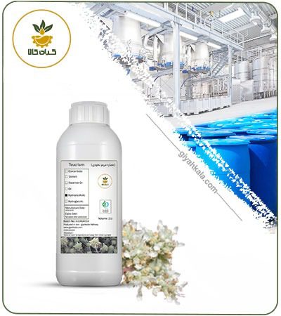 Felty Germander (Teucrium polium) Liquid Extract
