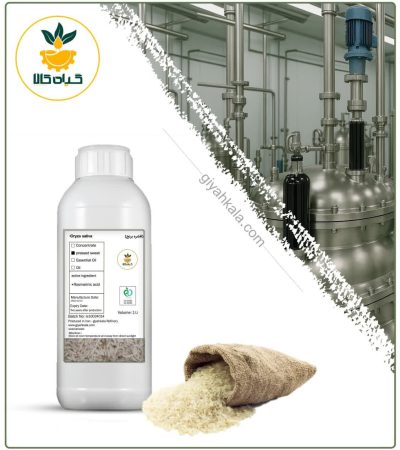 Natural Rice Afshore (Squeezed Distillate)